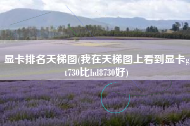 显卡排名天梯图(我在天梯图上看到显卡gt730比hd8730好)