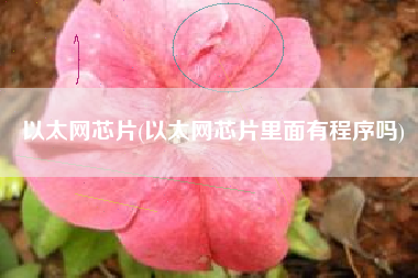 以太网芯片(以太网芯片里面有程序吗)