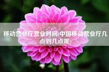 移动营业厅营业时间(中国移动营业厅几点到几点呢)