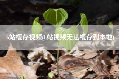 b站缓存视频(b站视频无法缓存到本地)
