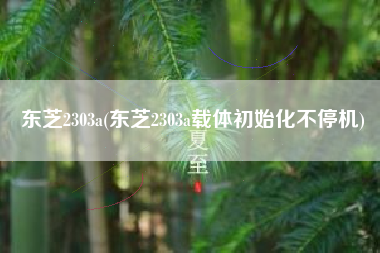 东芝2303a(东芝2303a载体初始化不停机)