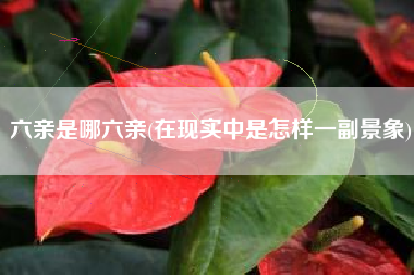 六亲是哪六亲(在现实中是怎样一副景象)