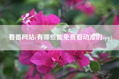 看番网站(有哪些能免费看动漫的app)