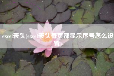 excel表头(excel表头每页都显示序号怎么设置)