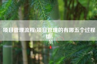项目管理流程(项目管理的有哪五个过程组)