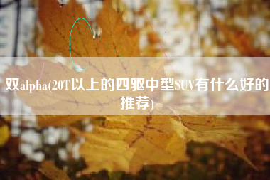 双alpha(20T以上的四驱中型SUV有什么好的推荐)