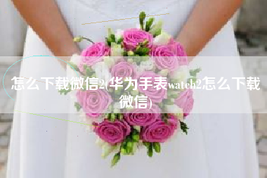 怎么下载微信2(华为手表watch2怎么下载微信)