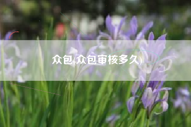众包(众包审核多久)