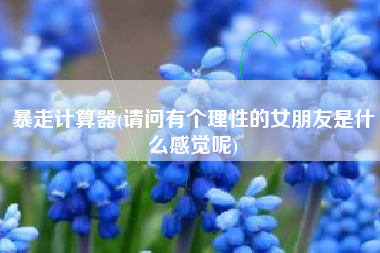 暴走计算器(请问有个理性的女朋友是什么感觉呢)
