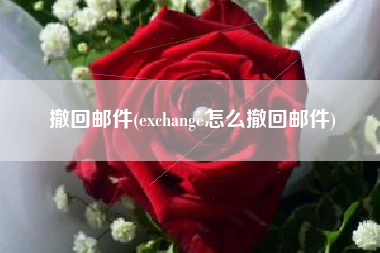 撤回邮件(exchange怎么撤回邮件)