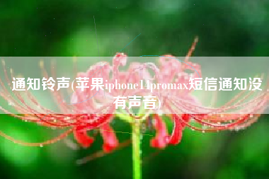 通知铃声(苹果iphone14promax短信通知没有声音)