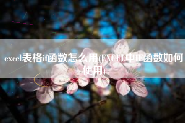 excel表格if函数怎么用(EXCEL中IF函数如何使用)