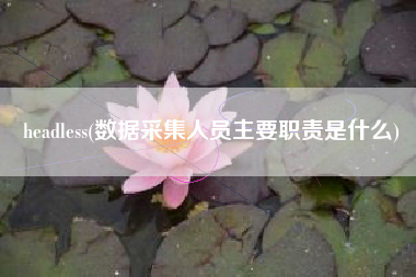headless(数据采集人员主要职责是什么)