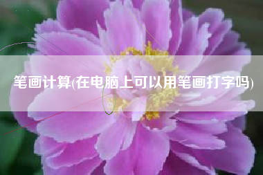 笔画计算(在电脑上可以用笔画打字吗)