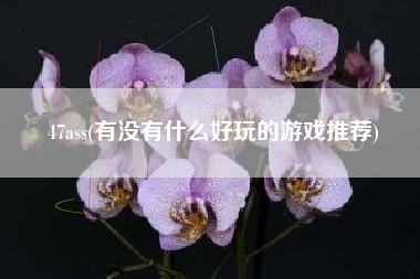 47ass(有没有什么好玩的游戏推荐)