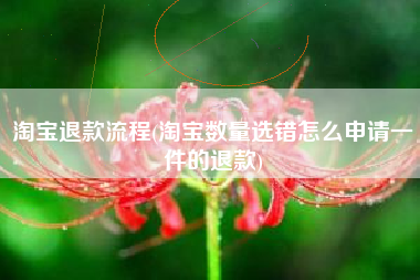 淘宝退款流程(淘宝数量选错怎么申请一件的退款)