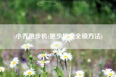 小乔跑步机(跑步机安全锁方法)