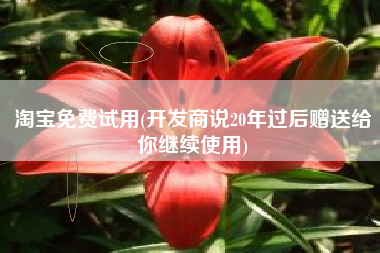 淘宝免费试用(开发商说20年过后赠送给你继续使用)