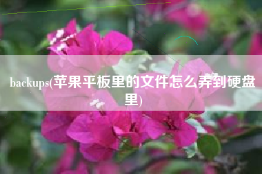 backups(苹果平板里的文件怎么弄到硬盘里)