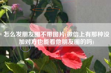 怎么发朋友圈不带图片(微信上有那种没加对方也能看他朋友圈的吗)