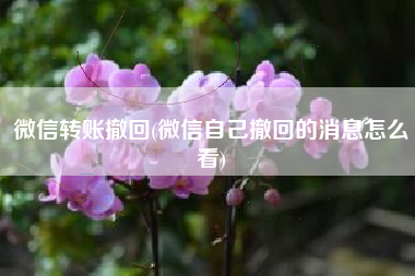微信转账撤回(微信自己撤回的消息怎么看)