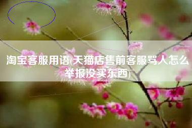 淘宝客服用语(天猫店售前客服骂人怎么举报没买东西)