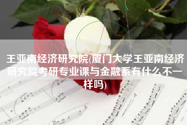 王亚南经济研究院(厦门大学王亚南经济研究院考研专业课与金融系有什么不一样吗)