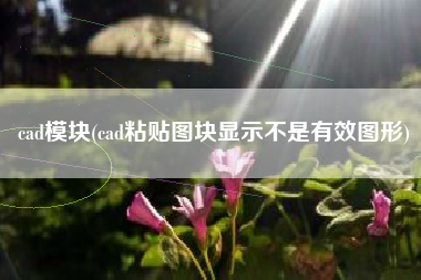 cad模块(cad粘贴图块显示不是有效图形)