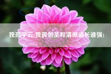 独孤宇云(独孤剑圣和清微道长谁强)