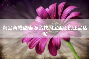 淘宝商城登陆(怎么找淘宝里面的正品店呢)