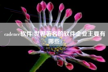 cadence软件(世界著名的软件企业主要有哪些)