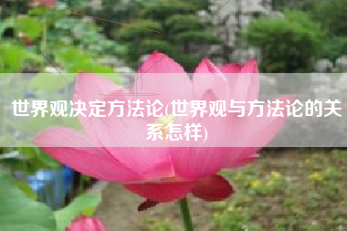 世界观决定方法论(世界观与方法论的关系怎样)