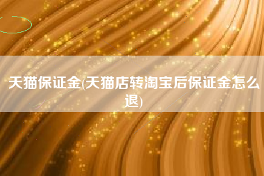 天猫保证金(天猫店转淘宝后保证金怎么退)