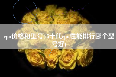 cpu价格和型号(i5十代cpu性能排行哪个型号好)