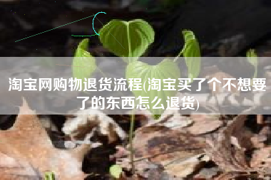淘宝网购物退货流程(淘宝买了个不想要了的东西怎么退货)