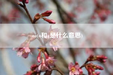 oa(o和a是什么意思)