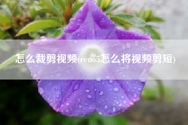 怎么裁剪视频(reno5怎么将视频剪短)