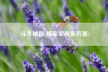 斗牛秘籍(戚家军有多厉害)