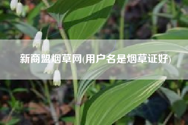 新商盟烟草网(用户名是烟草证好)