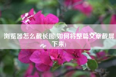 浏览器怎么截长图(如何将整篇文章截屏下来)