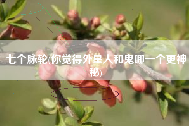 详细阅读:七个脉轮(你觉得外星人和鬼哪一个更神秘) 七个脉轮(你觉得外星人和鬼哪一个更神秘)