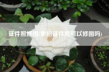 证件照修图(单招证件照可以修图吗)