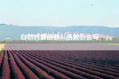 自然对数函数(ln函数怎么写)