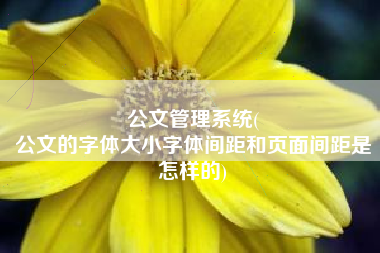 公文管理系统(
公文的字体大小字体间距和页面间距是怎样的) 公文管理系统(
公文的字体大小字体间距和页面间距是怎样的)