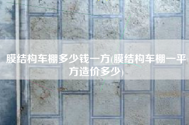 膜结构车棚多少钱一方(膜结构车棚一平方造价多少)