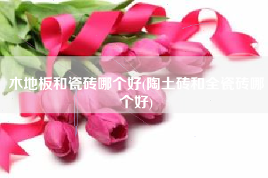 木地板和瓷砖哪个好(陶土砖和全瓷砖哪个好)