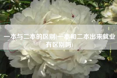 一本与二本的区别(一本和二本出来就业有区别吗)