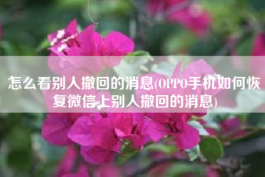 怎么看别人撤回的消息(OPPO手机如何恢复微信上别人撤回的消息)