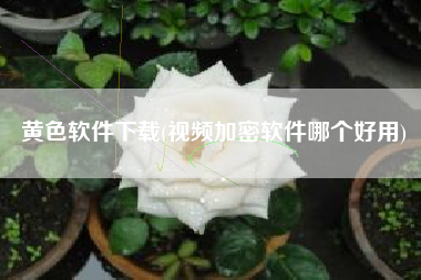黄色软件下载(视频加密软件哪个好用)