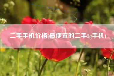 二手手机价格(最便宜的二手5g手机)